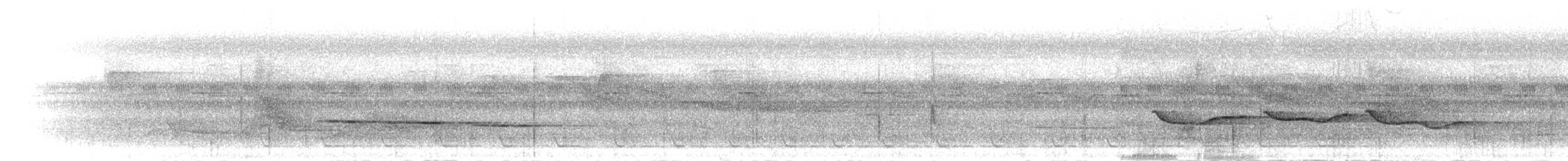 Timalie à tête grise - ML282697