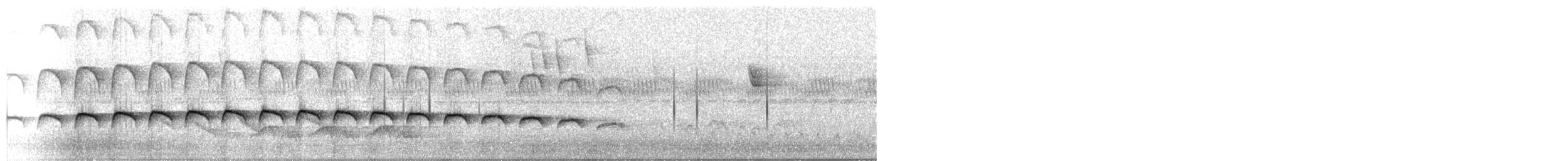 Large-tailed Antshrike - ML282715251
