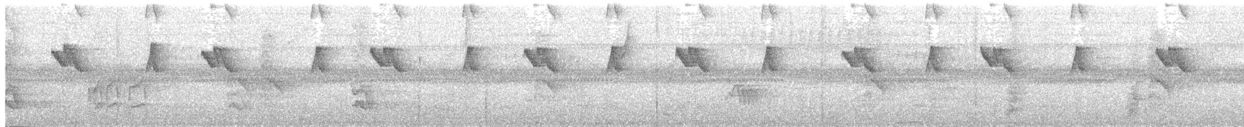 Чешуегорлый колибри-отшельник - ML282740981