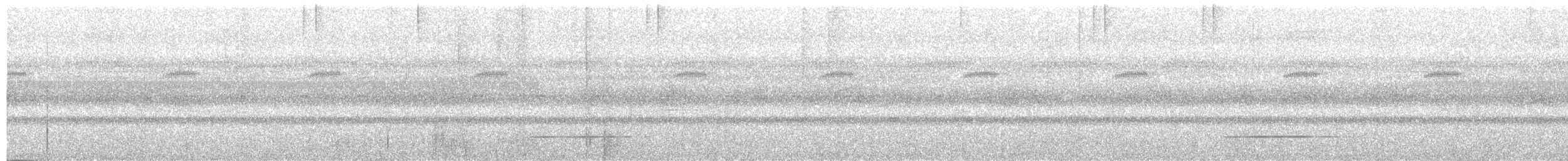 Лінивка-смугохвіст білогорла - ML282754321
