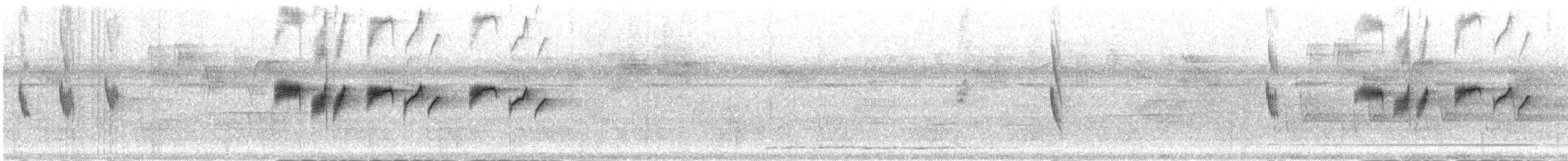 Kara Kanatlı Sinekkapan Vanga - ML282763