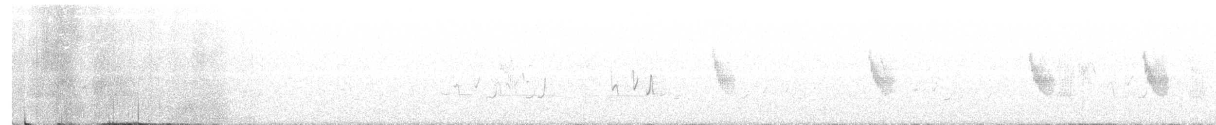 Stubble Quail - ML282767481