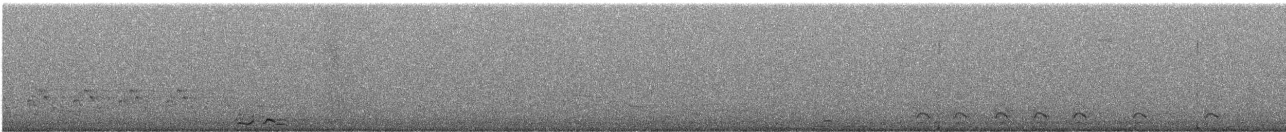Гагара полярна - ML282797111