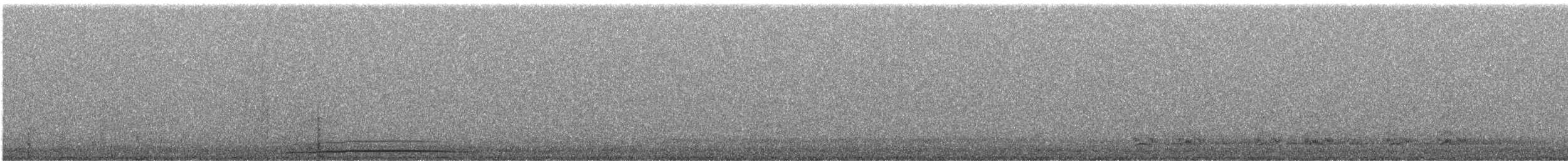 Черноклювая гагара - ML282797131