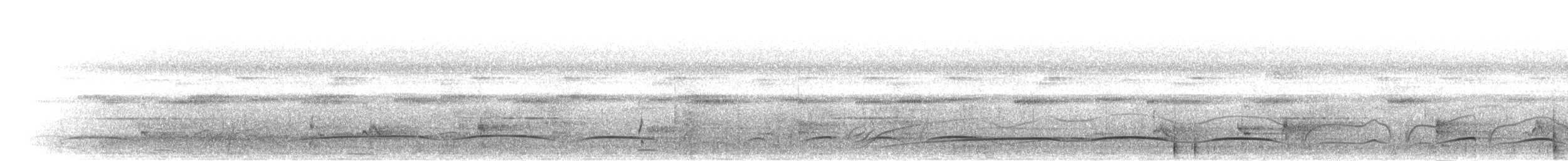 holub hnědoramenný - ML282813