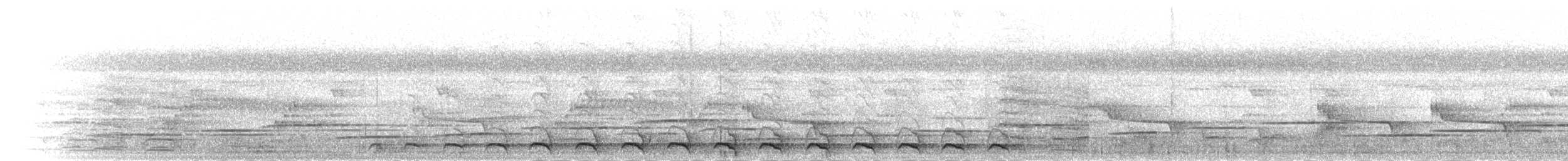 Diard Trogonu - ML282825