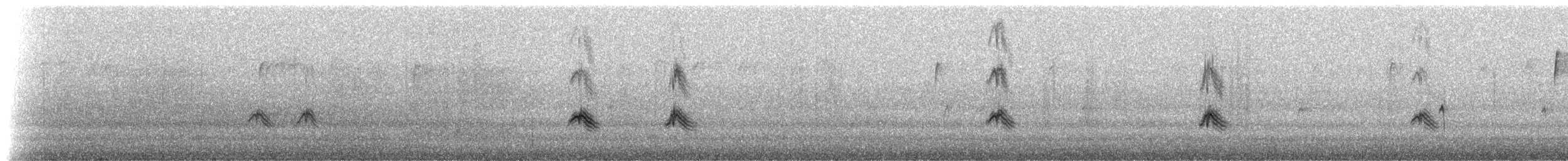 Evening Grosbeak (type 3) - ML282861081