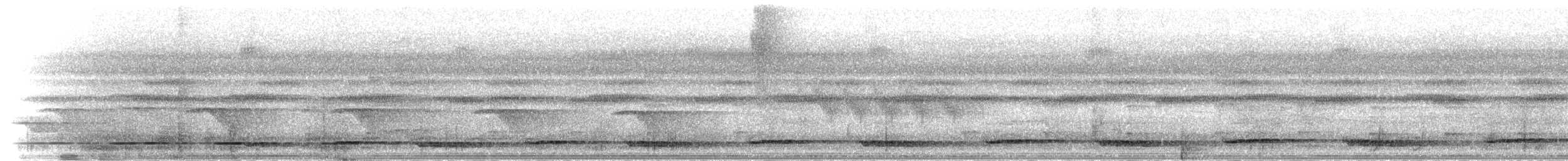 Sabah Partridge - ML282875