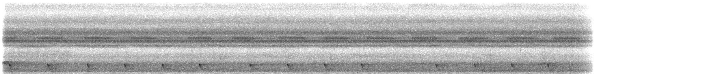 Large-tailed Nightjar - ML282879