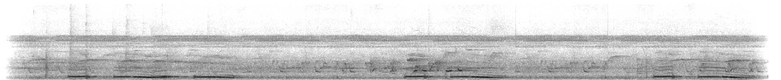 Борнейская воронья кукушка - ML282890