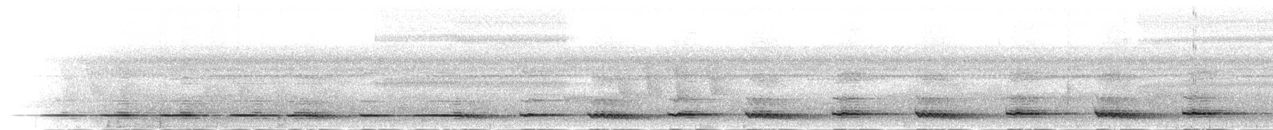 Torquéole de Graydon - ML282921