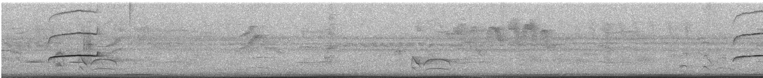 Southern Beardless-Tyrannulet - ML282935341