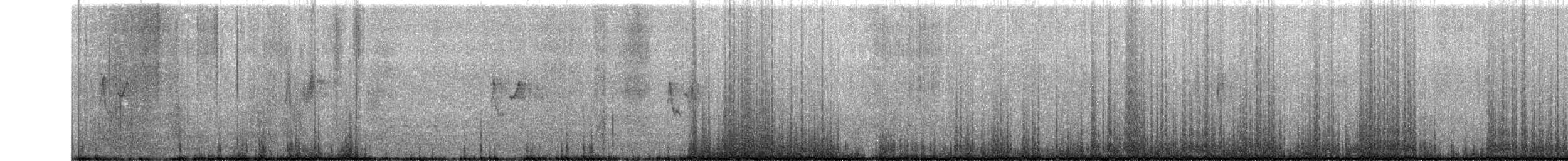 Luì di Hume - ML282945971