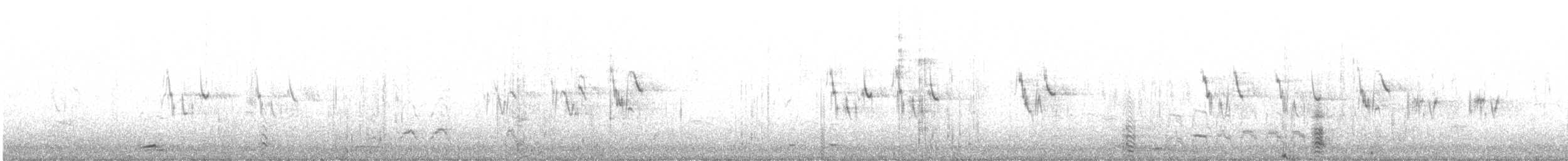 White Wagtail - ML283012071
