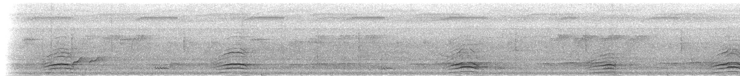 Malabar Gray Hornbill - ML283050