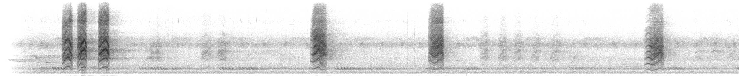 Cotorra de Malabar - ML283152