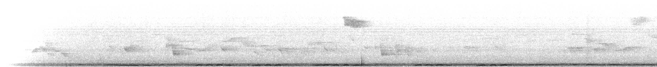 holub nilgirský - ML283215
