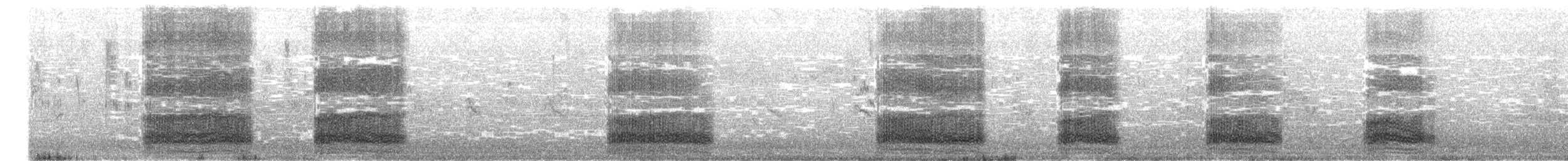 kråke - ML283215141