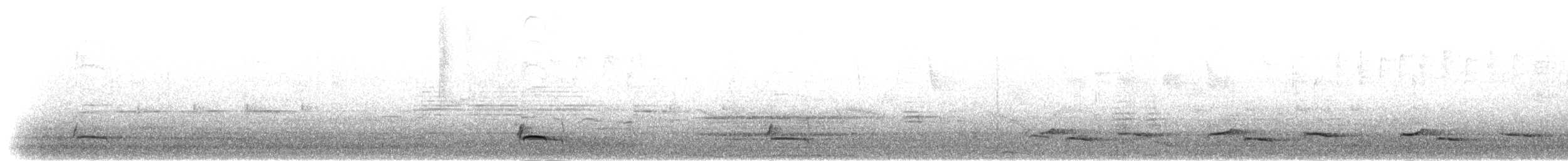 Flötenhäherling - ML283268
