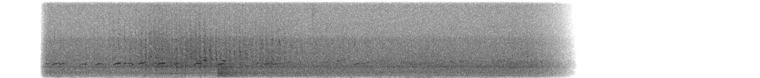 Hakengimpel (leucura) - ML283304141