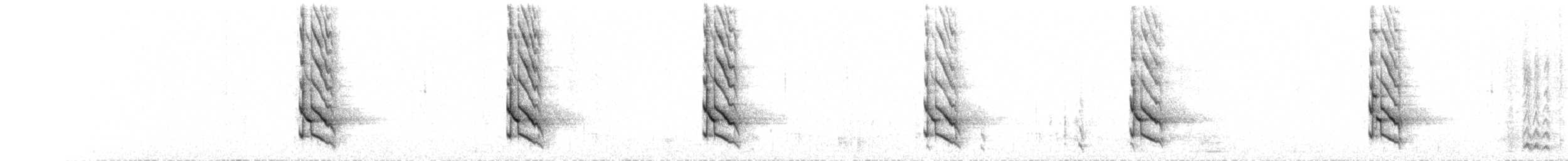 Pic chrysoïde - ML283322281