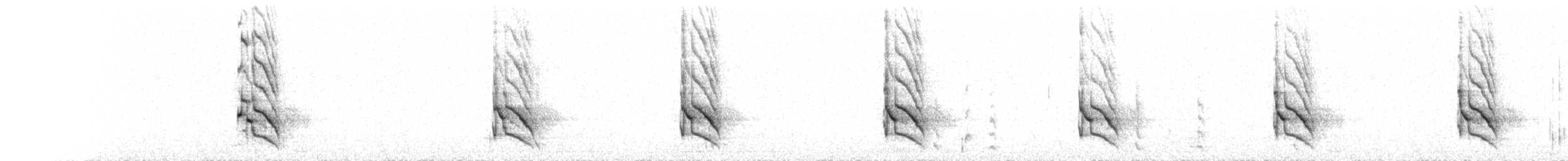 Pic chrysoïde - ML283323171