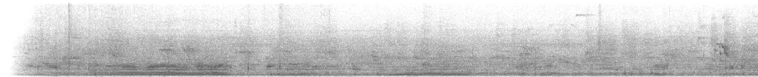 Пелікан сірий - ML283404