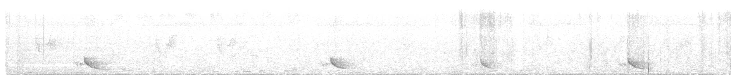 Black-hooded Oriole - ML283431941