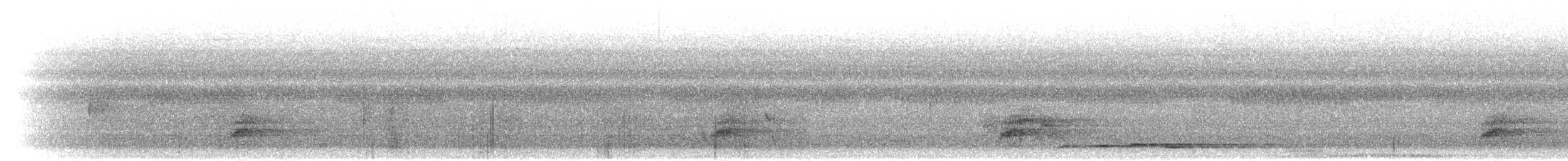 Андаманская китта - ML283446