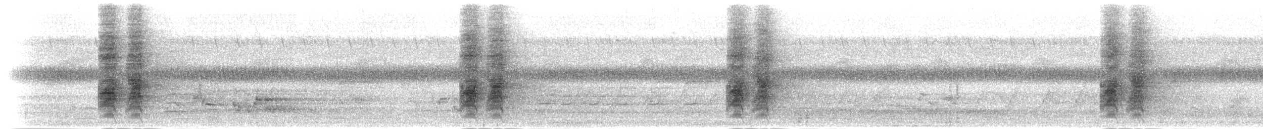 Андаманская китта - ML283457