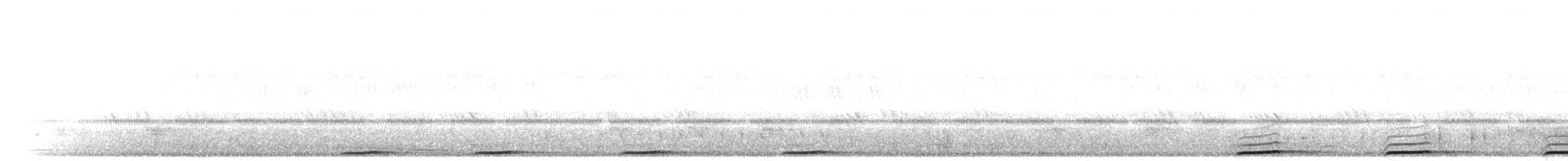 Сова-голконіг темнопера - ML283486