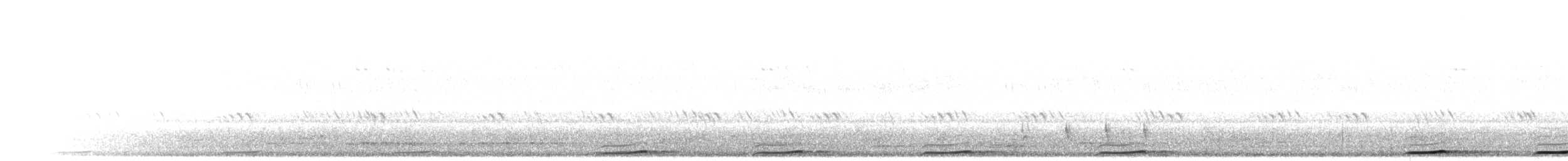 Ninoxe de Hume - ML283489