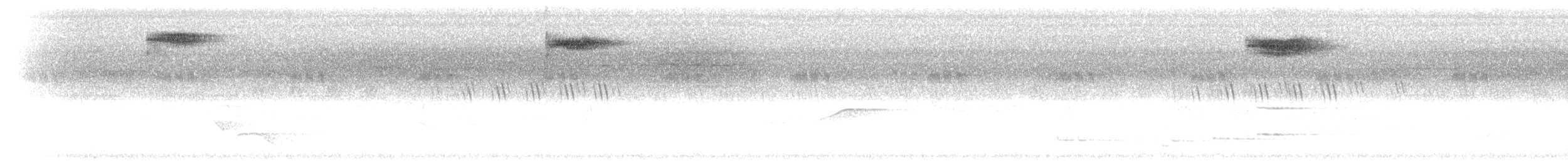 Zorzal Citrino (albogularis/andamanensis) - ML283518
