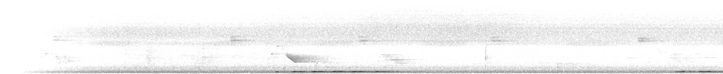 Coucal des Andaman - ML283531