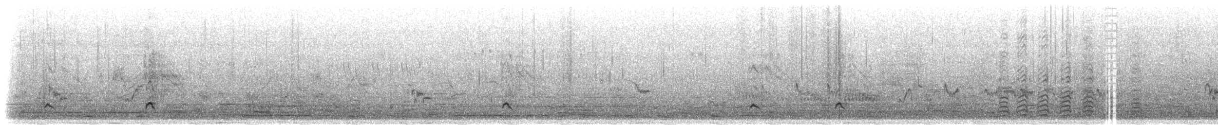 Sarcelle des Andaman - ML283552