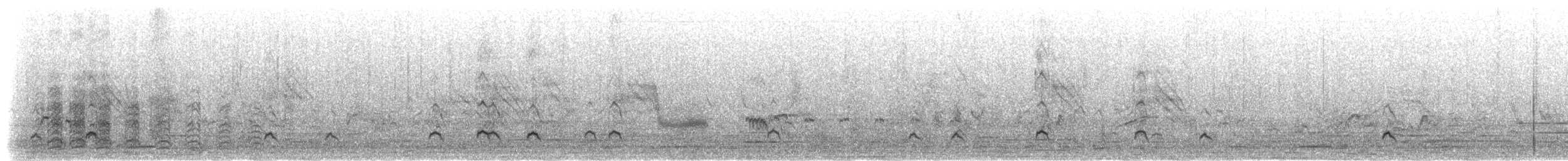 Sarcelle des Andaman - ML283553