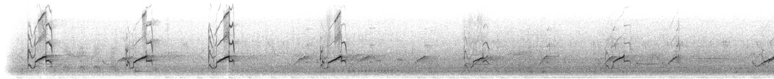太平洋金斑鴴 - ML283556