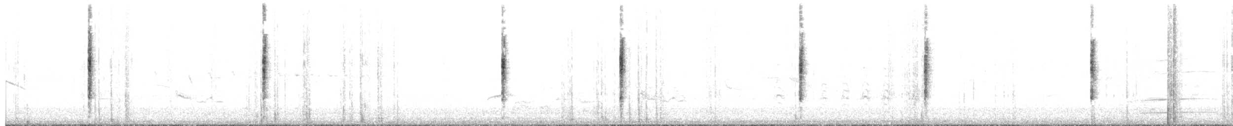 Черногорлая хвойница - ML28355731