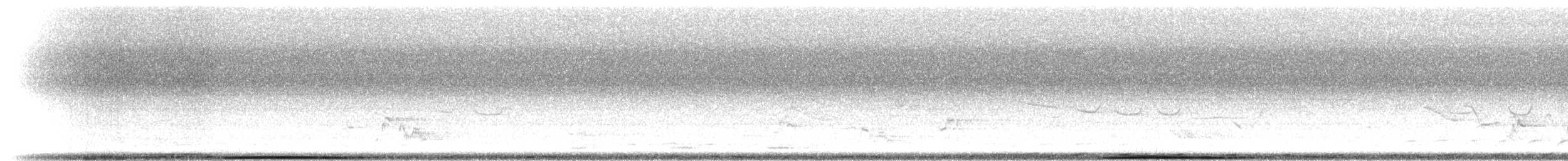 holub andamanský - ML283563