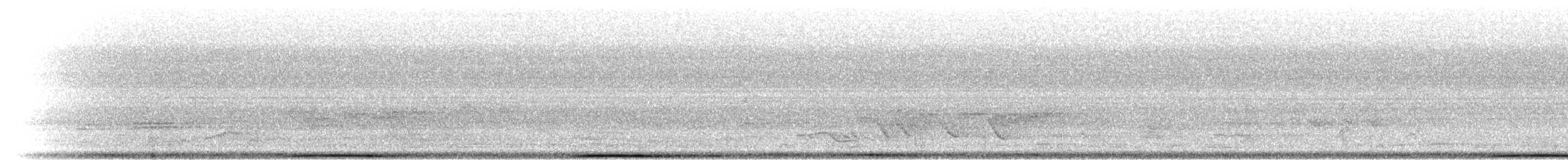 holub andamanský - ML283567