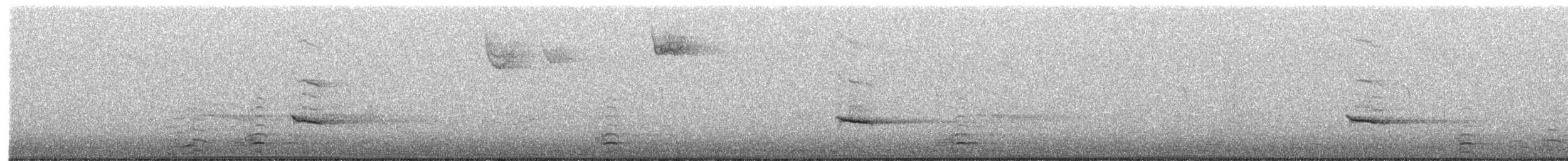 eremittskogtrost (faxoni/crymophilus) - ML283570511