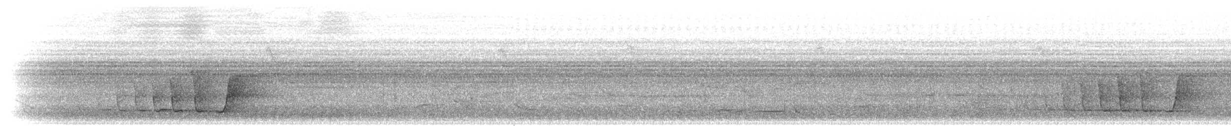 Mangrov Islıkçısı - ML283574