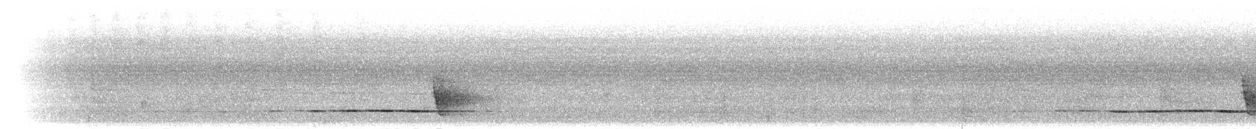 Mangrove Whistler - ML283578