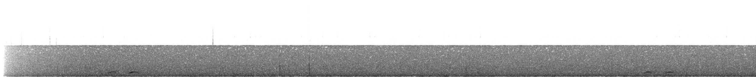 sovka štěkavá - ML283600911