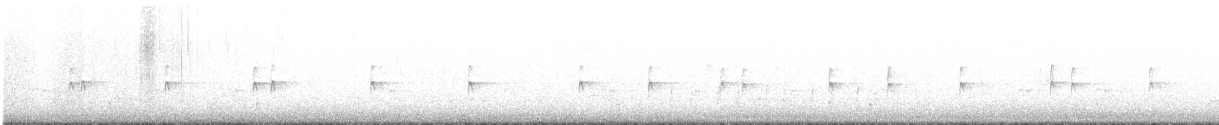 Шишкар ялиновий - ML283602001