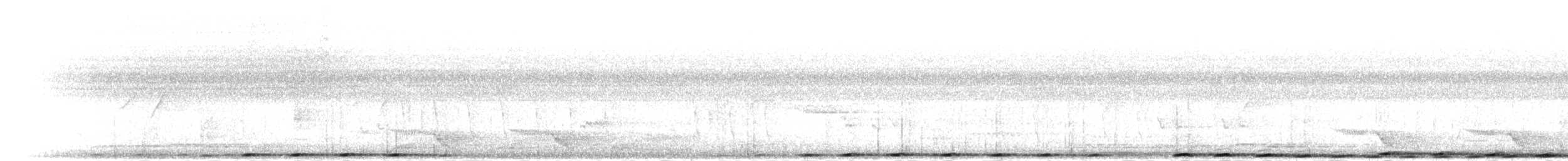 Coucal des Andaman - ML283604