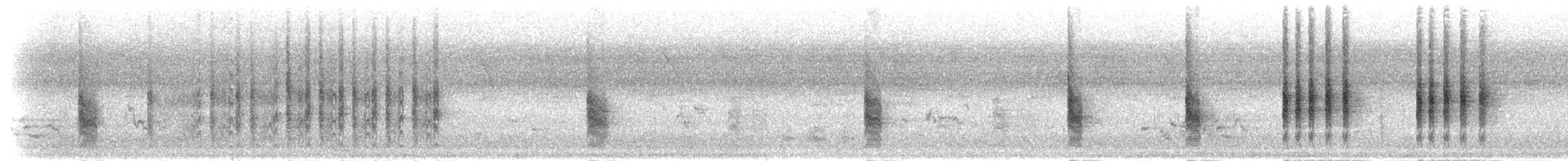 brunvarsler (lucionensis) - ML283615