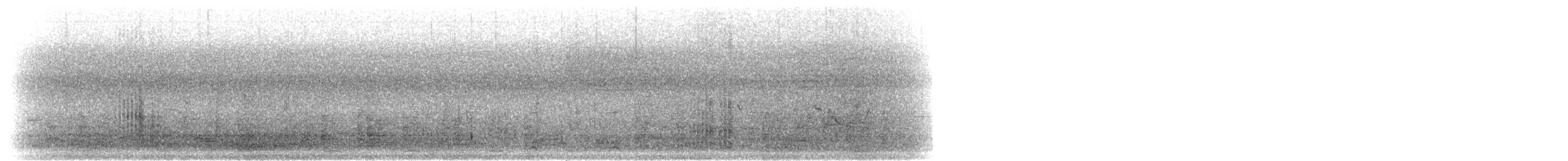 Sarcelle des Andaman - ML283617