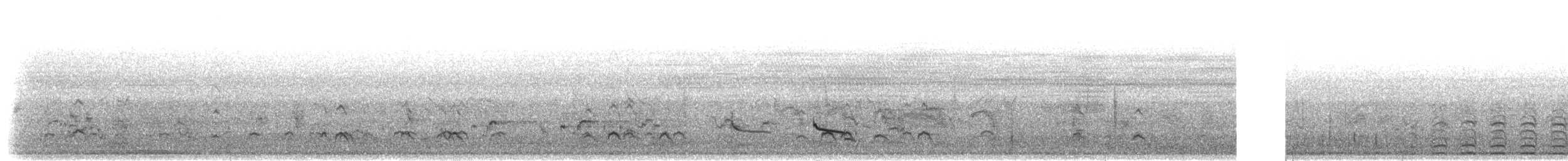 Sarcelle des Andaman - ML283618