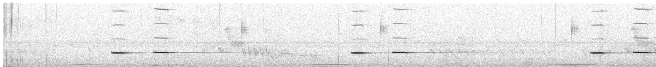 Striped Cuckoo - ML283624821